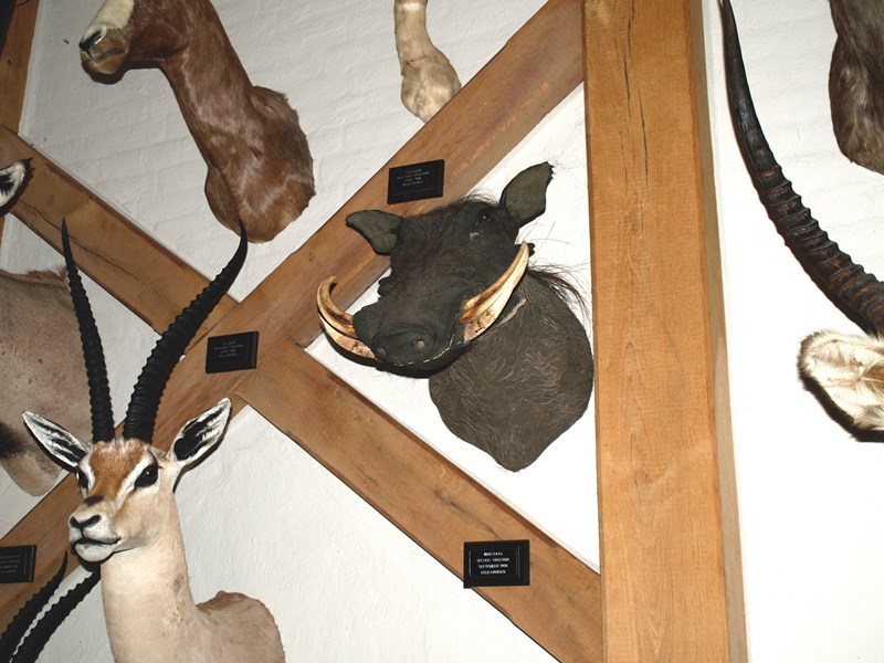 Hunting_Cabin_11